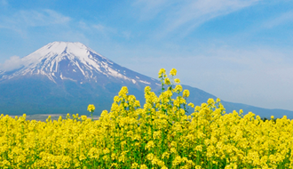 「クレセール心の相談室」について